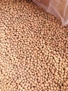 molecular sieve picture